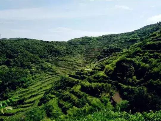 天堂村新项目，乡村发展典范引领之路