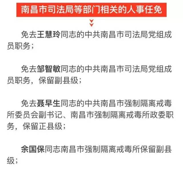 叶村人事任命最新动态及其影响分析