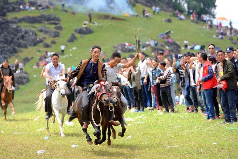 嘎村重塑计划，最新项目引领乡村走向繁荣