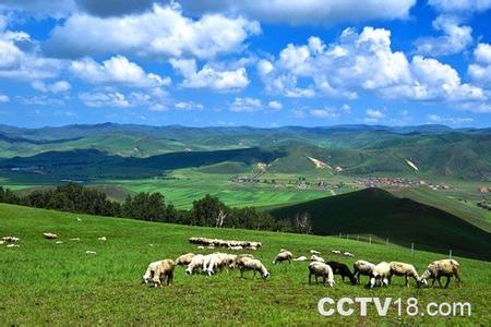 孟根达坝牧场天气预报更新